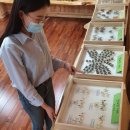 국립백두대간수목원 방문자센터 이미지