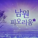 진달래어린이공원 | 구례 지리산 치즈랜드 수선화 2026 실시간 개화 상황, 전북 남원 피오리움 여행 후기