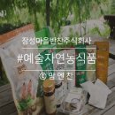 예술자연농식품 이미지