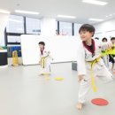 눈부시게 빛나는 태권도장 이미지