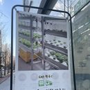 장산유통 | 해운대 장산역 맛집 샐픽 해운대장산역점 포케 후기