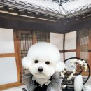 댕그랑댕 이미지