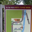 둥근돌야영장 이미지
