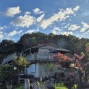 카페아마떼 이미지