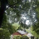 동화사제2약수터 | 여행 후기 | [대구동화사] 여름 대구 근교 짧은 여행, 동화같은 절 동화사라고 알아? 당장 출발!