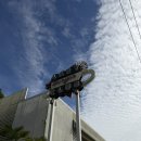 멍멍이 클럽 | 레이지버거클럽 고양 서오릉점 애견동반 가능 수제버거 맛집