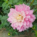 뽑기농장 이미지