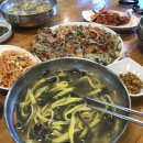 보은칼국수 티스토리