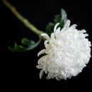 고병배스튜디오