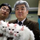 빨간고양이 - 중구 을지로 54-1 | 빨간고양이