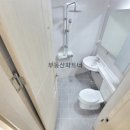 더원펠리스