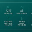 투어채널플러스 이미지