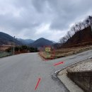 모래봉농장 Daum카페