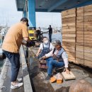 하모리-3 이미지