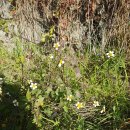 선암공원 이미지