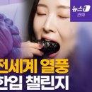 인해김밥 이미지