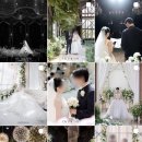 Wedding #3 아산 나비스퀘어 본식 스냅 온더데이 계약 후기 (짝꿍 마감)