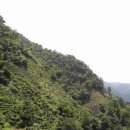 문화안길 이미지