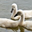 미루행정사 이미지