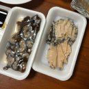 중앙수산 | 속초중앙시장 맛집리스트 수산시장 회포장 솔직후기