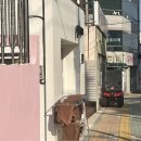 올헤어203 - 68653 | 올헤어203