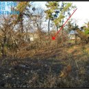 마산리목장 이미지