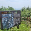 여주-0936 Daum카페