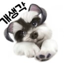 매드후라이치킨동수원 이미지