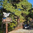 팔색조 펜션 이미지