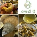 바다향그대로 | &#39;소농의정&#39; 활백고동 택배 도착! 백골뱅이탕 해먹어봤어요