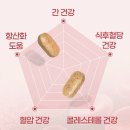 웰-라이프 | 뉴트리웰라이프 간당혈콜영양제 건강 5중기능성 영양제 후기