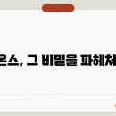 시온스