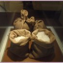 신안갯벌박물관 이미지