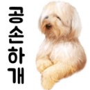 청풍크리닝 이미지