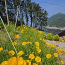 욕지도펜션리조트 | 편안하고 깔끔한 욕지도펜션 &#39;욕지도펜션리조트&#39; 추천후기^^