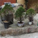 영남대로 이미지