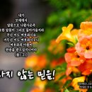 PICTURE&amp;TEXT_20240623_변하지 않는 믿음!_욥기 1장 21절_오순절 후 다섯 번째 주일 묵상_선비같은 꽃 능소화_우리 이미지