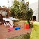 롤리폴리 이미지