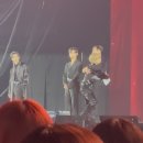 12월에 다시 태어납니다