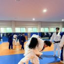 용인대 대전유도관 이미지