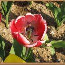 문수실버복지관 이미지