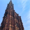 Love Letter from Strasbourg 💌 이미지