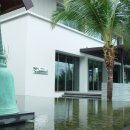 팜스발리 이미지