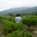 수철농장 Daum카페
