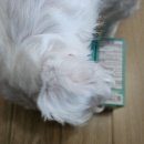 반월당경북약국 이미지