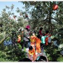 신례원초등학교병설유치원 이미지