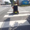 이리서초등학교 이미지