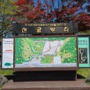 언젠家(가) | 제주 조천 가볼만한곳, 산굼부리 분화구 7,000원으로 만난 8,000평 천연기념물 봄 산책 후기