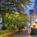 도쿄 쿠루미 이미지