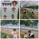 키즈웰어린이집 | 🌱 꼬마 농부들의 신나는 하루! 포시즌 힐링팜 현장학습 후기